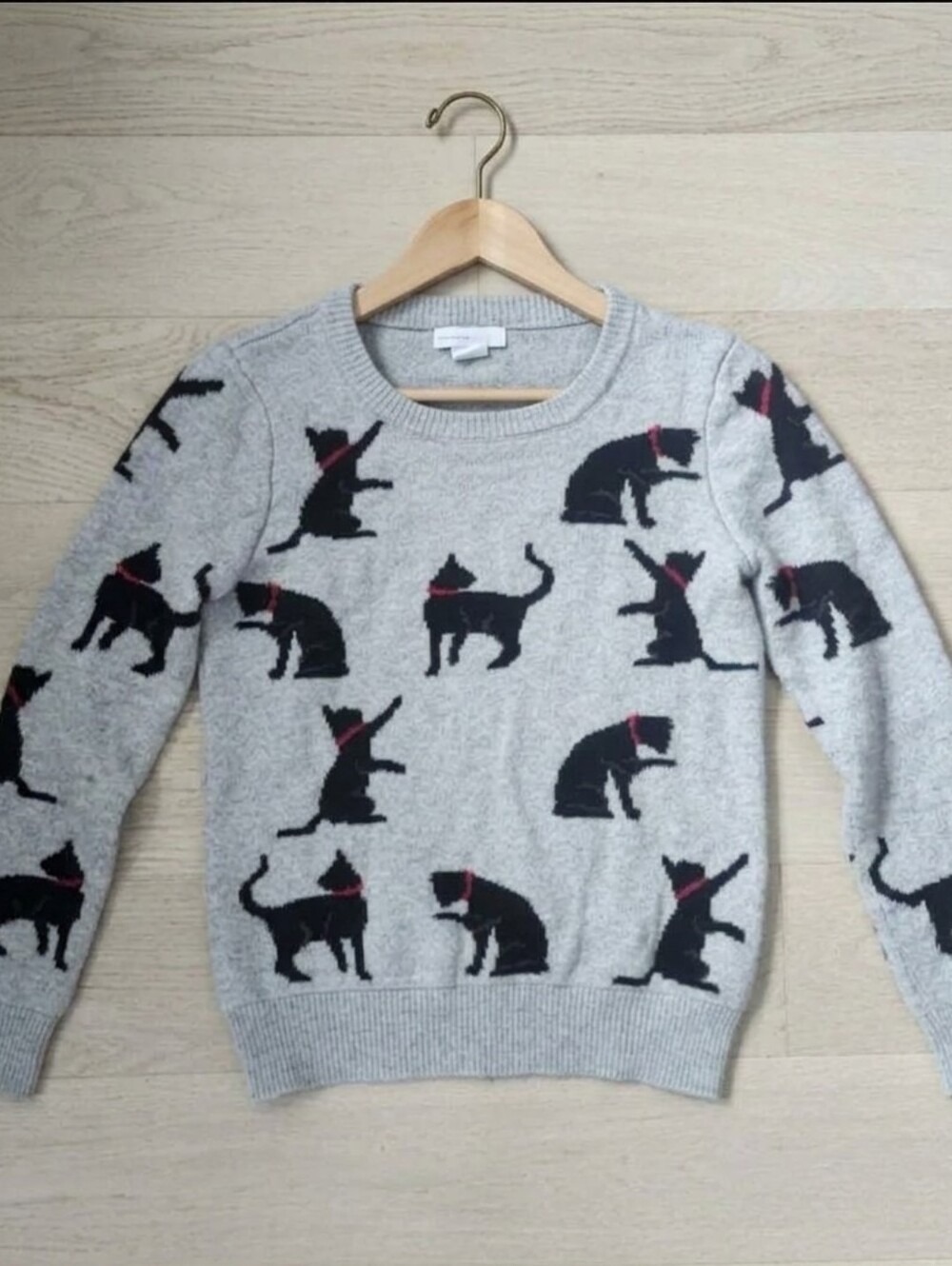 Shrinking Violet Cat Womans Sweater XS